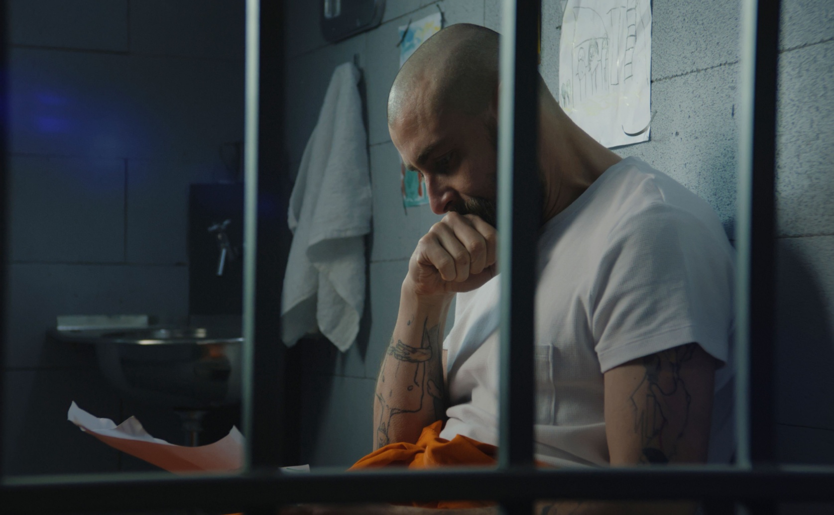 human rights of prisoners and status of custodial home