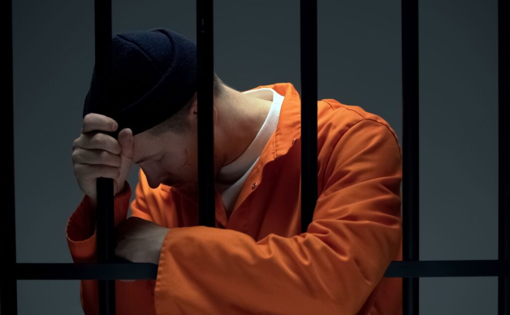 meaning of remission in law
