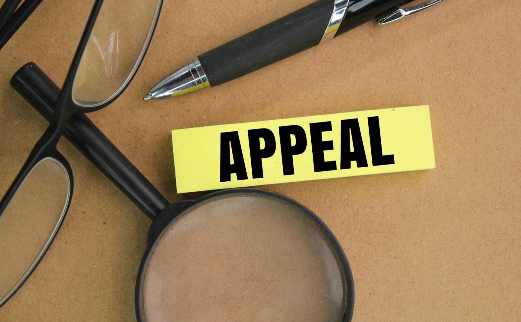 what are the grounds for an appeal