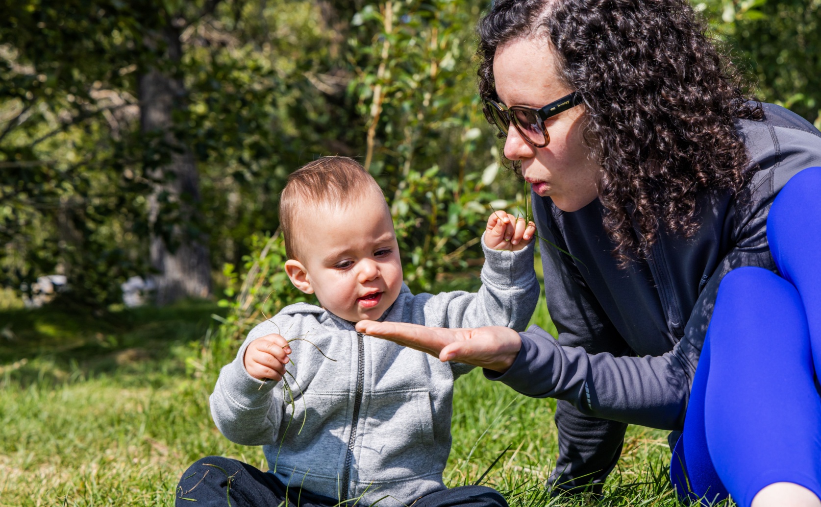 new child maintenance law