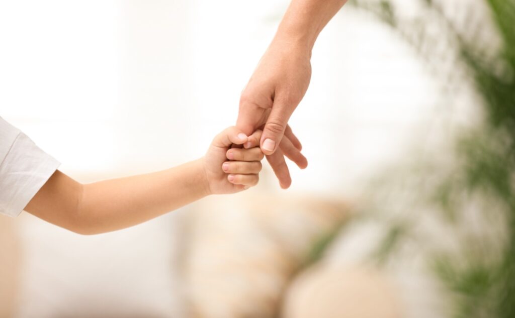 what does child maintenance cover